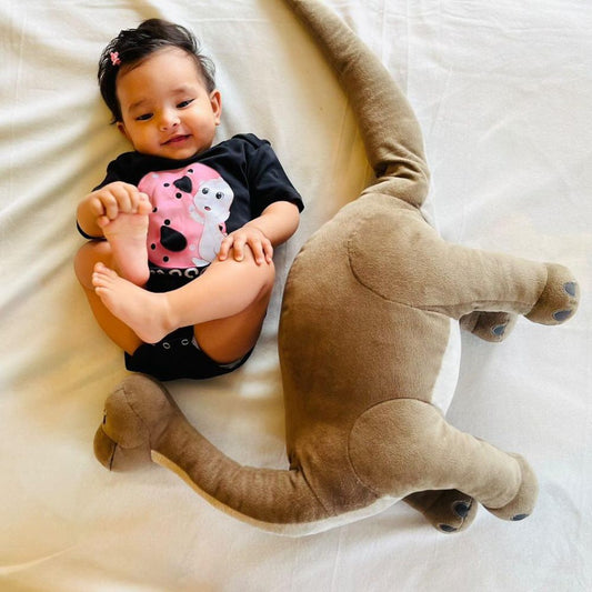 Monthly Birthday Rompers | 0-10 Months | Dino Theme Romper for Babies - T Bhai