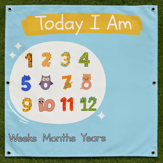 Baby Milestone Tapestry | Monthly Birthday Celebration Ideas and Props