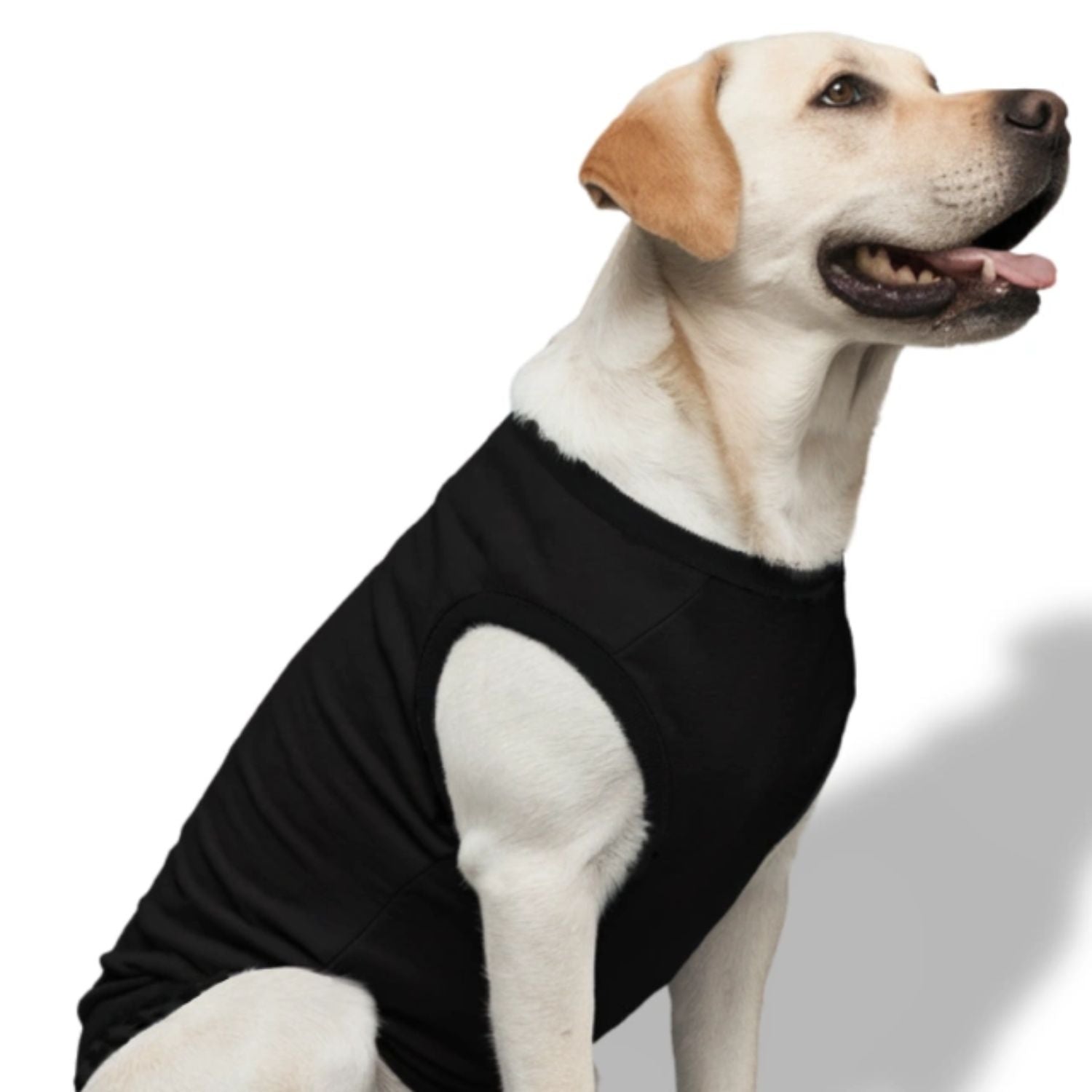 Custom Dog T-Shirts - T Bhai