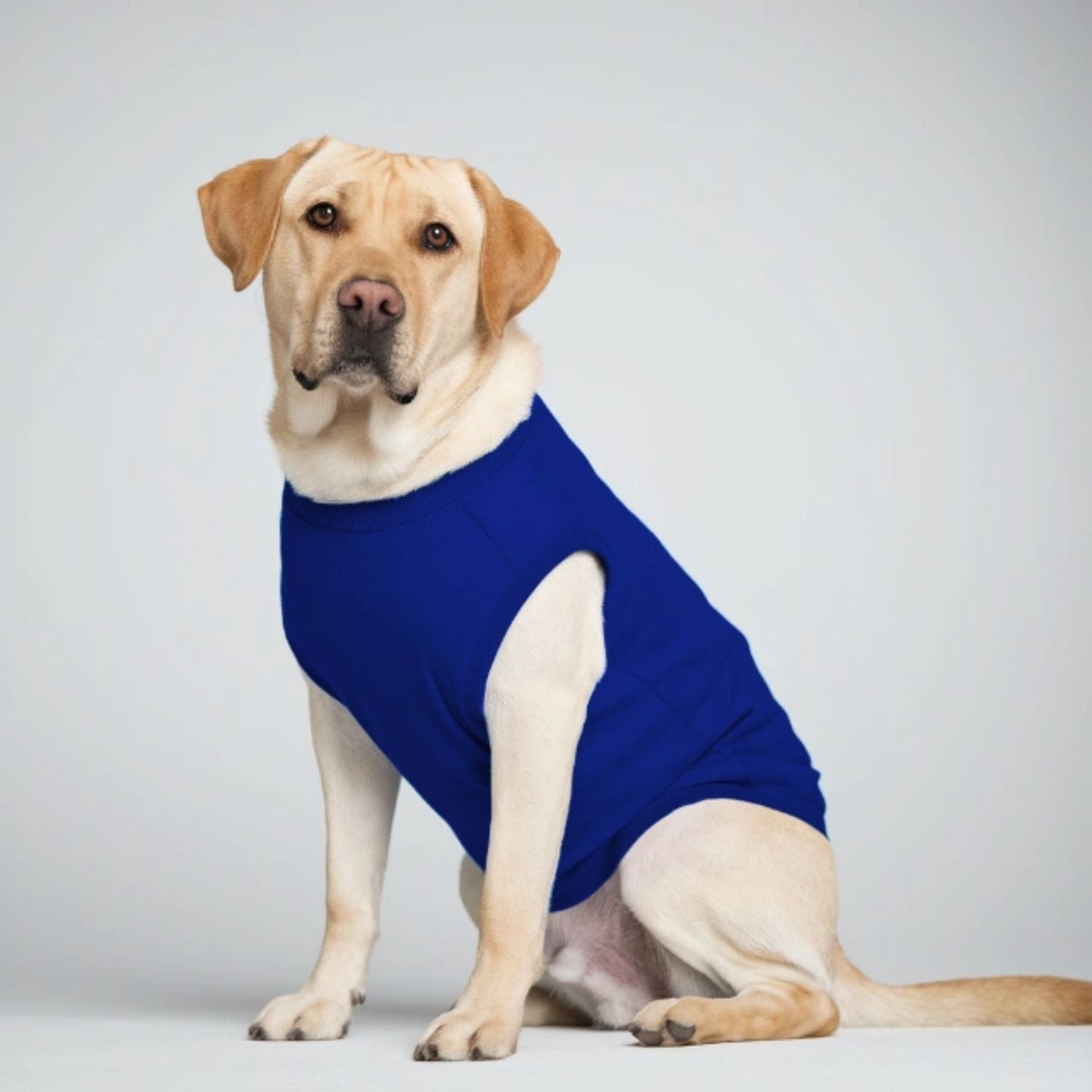 Custom Dog T-Shirts - T Bhai