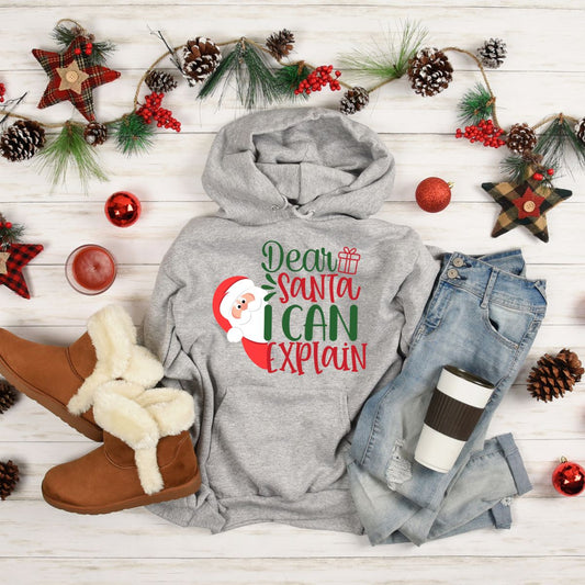 Dear Santa I Can Explain Unisex Christmas Hoodies for Kids and Adults - T Bhai