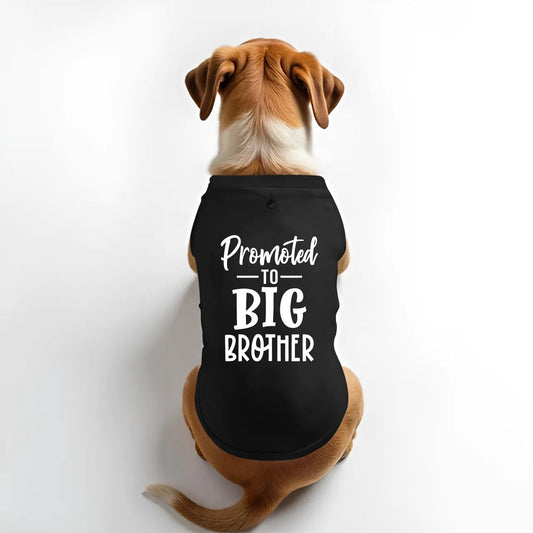 Dog wearing a black shirt with 'Promoted to Big Brother' text on a white background